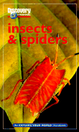 Discovery Channel: Insects & Spiders: An Explore Your World Handbook - Lewis, David J, Ph.D., and Cushing, Paula E, Ph.D.