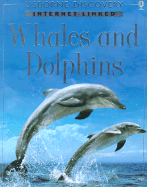 Discovery Program: Dolphins and Whales