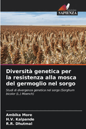 Diversit? genetica per la resistenza alla mosca del germoglio nel sorgo