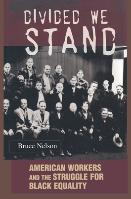 Divided We Stand: American Workers and the Struggle for Black Equality - Nelson, Bruce