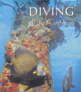 Diving in the Caribbean