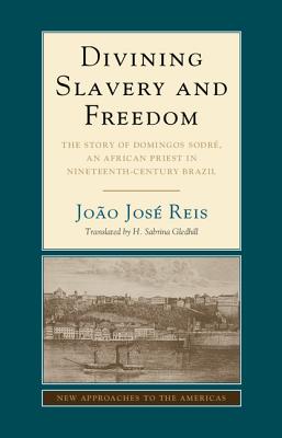 Divining Slavery and Freedom: The Story of Domingos Sodr, an African Priest in Nineteenth-Century Brazil - Reis, Joo Jos, and Gledhill, H. Sabrina (Translated by)