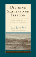 Divining Slavery and Freedom: The Story of Domingos Sodr?, an African Priest in Nineteenth-Century Brazil