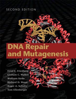 DNA Repair and Mutagenesis - Friedberg, Errol C (Editor), and Walker, Graham C (Editor), and Siede, Wolfram (Editor)