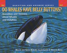 Do Whales Have Belly Buttons?