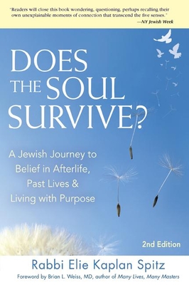 Does the Soul Survive? (2nd Edition): A Jewish Journey to Belief in Afterlife, Past Lives & Living with Purpose - Spitz, Elie Kaplan, Rabbi, and Weiss, Brian L, MD, M D (Foreword by)
