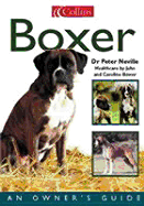 Dog Owner's Guide: Boxer