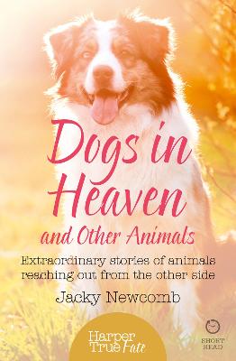 Dogs in Heaven: and Other Animals: Extraordinary Stories of Animals Reaching out from the Other Side - Newcomb, Jacky