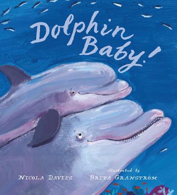 Dolphin Baby! - Davies, Nicola