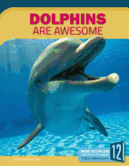 Dolphins Are Awesome