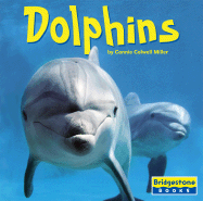 Dolphins