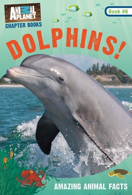 Dolphins! - Animal Planet