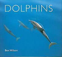 Dolphins