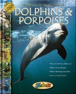 Dolphins - Wexo, John B