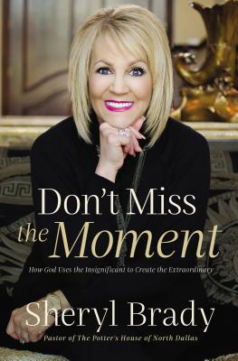 Don't Miss the Moment: How God Uses the Insignificant to Create the Extraordinary - Brady, Sheryl