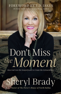 Don't Miss the Moment: How God Uses the Insignificant to Create the Extraordinary - Brady, Sheryl