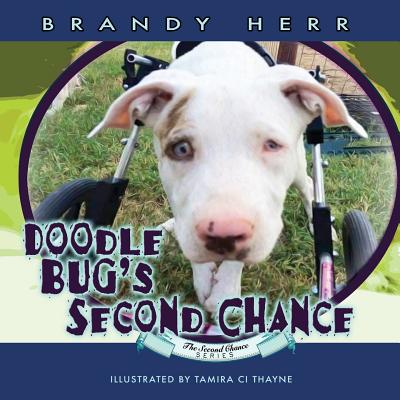 Doodle Bug's Second Chance - Herr, Brandy