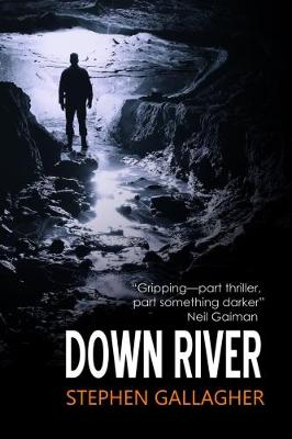 Down River - Gallagher, Stephen