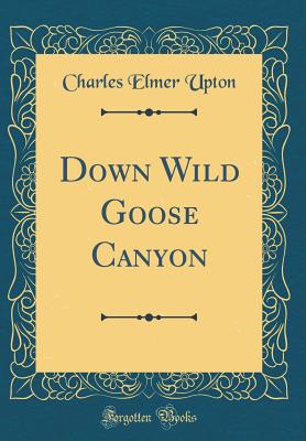 Down Wild Goose Canyon (Classic Reprint) - Upton, Charles Elmer