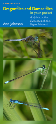 Dragonflies and Damselflies in Your Pocket: A Guide to the Odonates of the Upper Midwest - Johnson, Ann