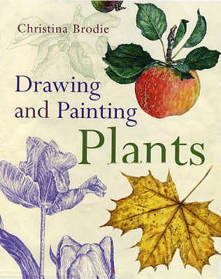 Drawing and Painting Plants - Brodie, Christina