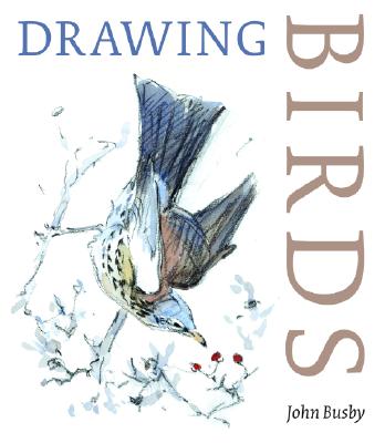 Drawing Birds - Busby, John