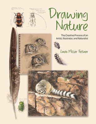 Drawing Nature: The Creative Process of an Artist, Illustrator, and Naturalist - Feltner, Linda Miller