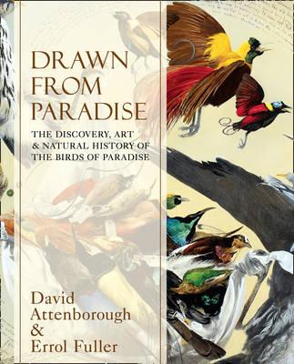 Drawn From Paradise: The Discovery, Art and Natural History of the Birds of Paradise - Attenborough, Sir David, and Fuller, Errol