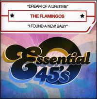 Dream of a Lifetime 1953-1959 - The Flamingos