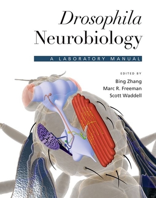 Drosophila Neurobiology: A Laboratory Manual - Zhang, Bing (Editor), and Freeman, Marc R (Editor), and Waddell, Scott (Editor)