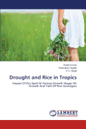 Drought and Rice in Tropics
