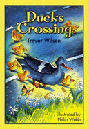 Ducks Crossing