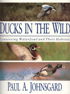 Ducks in the wild - Johnsgard, Paul A.