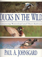 Ducks in the Wild - Johnsgard, Paul A.