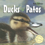 Ducks / Patos - Twine, Alice