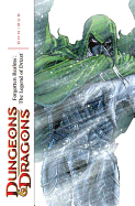 Dungeons & Dragons: Forgotten Realms - The Legend of Drizzt Omnibus Volume 2