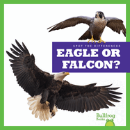 Eagle or Falcon?