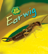 Earwig