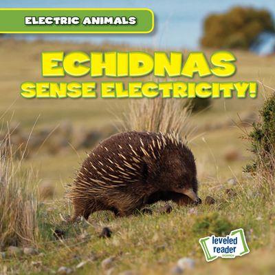 Echidnas Sense Electricity! - Mallory, Louis