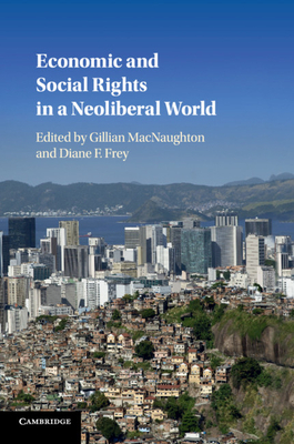 Economic and Social Rights in a Neoliberal World - MacNaughton, Gillian (Editor), and Frey, Diane F. (Editor)