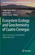 Ecosystem Ecology and Geochemistry of Cuatro Cienegas: How to Survive in an Extremely Oligotrophic Site