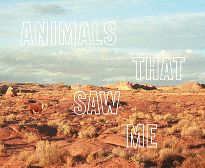 Ed Panar: Animals That Saw Me: Volume Two - Panar, Ed (Photographer), and Morton, Timothy (Contributions by)