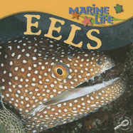 Eels