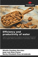 Efficiency and productivity of water