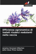 Efficienza agronomica di isolati rizobici nodulanti nella veccia