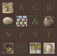 Egg & Nest