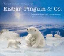 Eisb?r, Pinguin & Co. : Polartiere Filzen Und Kennenlernen