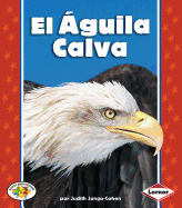 El Aguila Calva (the Bald Eagle)