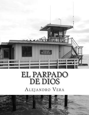 El Parpado de Dios: (Otro Lugar Donde Esconder Tus Miserias) - Vera, Alejandro Gonzalo