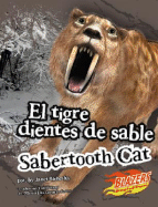 El Tigre Dientes de Sable/Sabertooth Cat